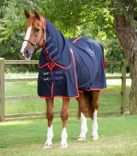 Premier equine combo - equine,