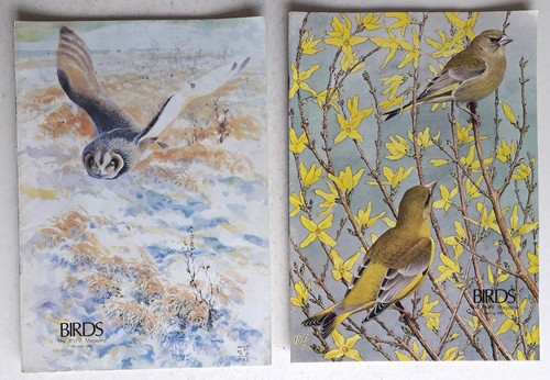 Birds rspb magazines vol 8 - 9, #8