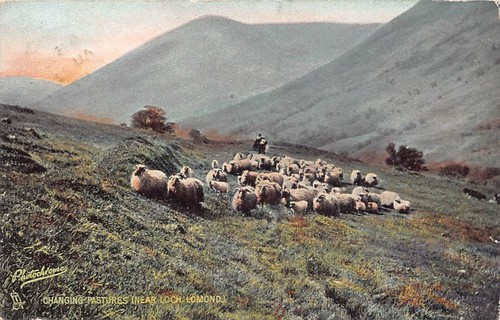 Family history postcard - history,