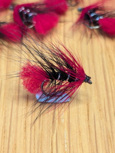 Fly fishing trout - fly, fishing,trout