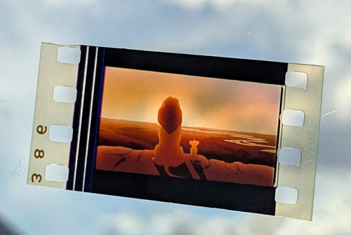 Disney the lion king 35mm - lion,