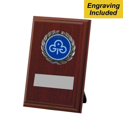 Guides shield free engraving - guides,