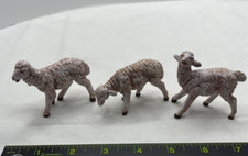 Sheep Lambs for Christmas