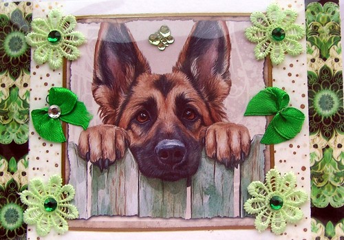 German shepherd puppy dog - shepherd,
