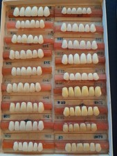 Vintage Anatomical Plastic Teeth Samples - 'Anatoform' 18 X 6 Varying Shades