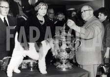 Vintage Press Photo Animals, A