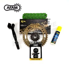 AFAM 520 Green Chain and
