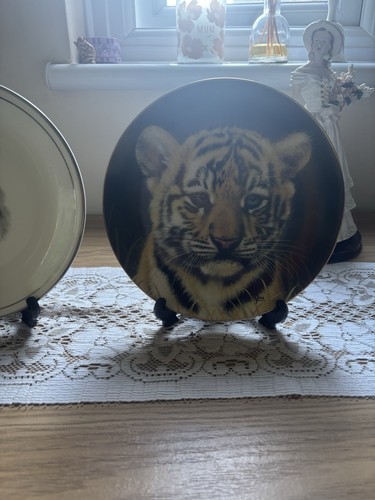Tiger cub plate bigs cats - bigs,