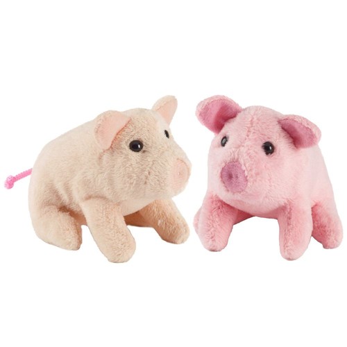 Living nature piglet - nature,