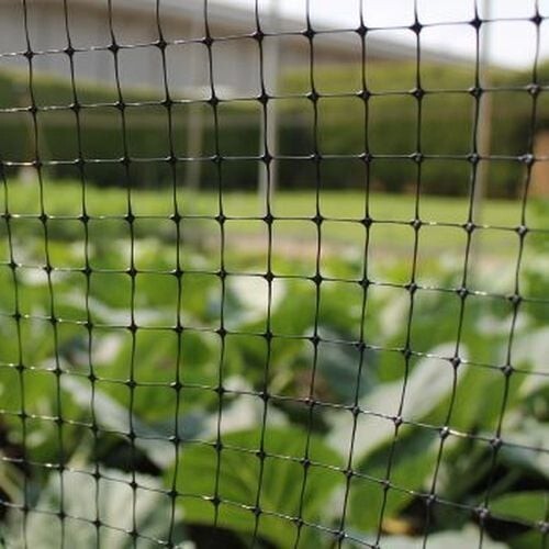 Fruit cage netting - fruit, netting,