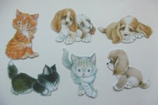 Die Cut*TRR*In The Studio*FUR