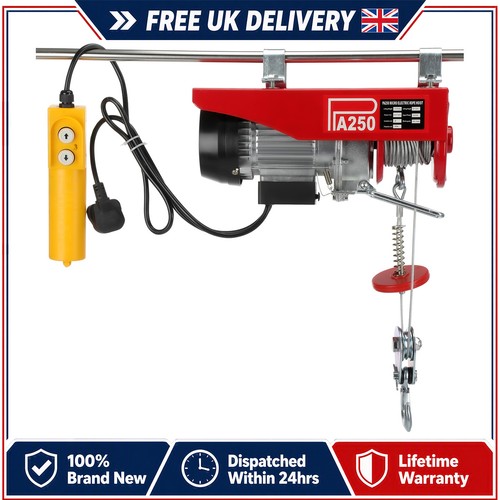 Electric hoist 250kg 550w - hoist,