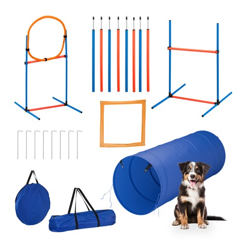 Agility set dog training - dog,