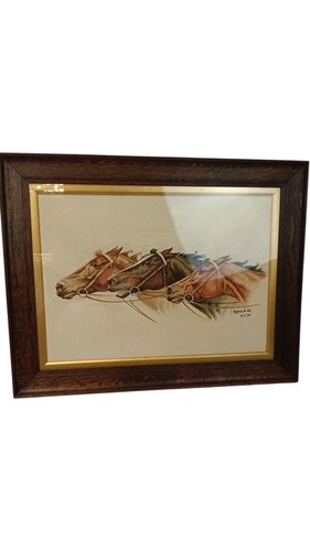 Harold bush horse racing - harold,