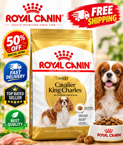 Royal canin cavalier king - cavalier,