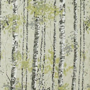Belfield home birch tree - belfield,