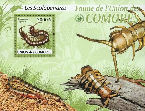 Centipede stamp fauna - stamp,