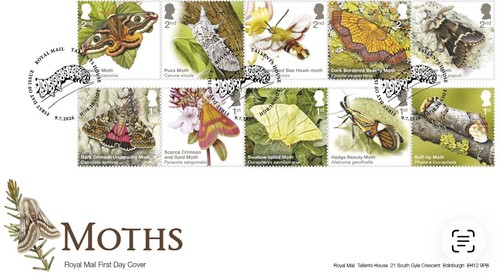 2026 moths first - first, day