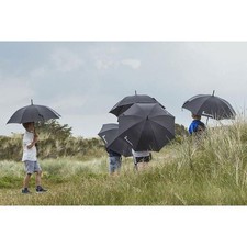Isabella umbrella - isabella,