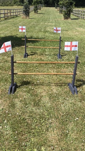 Hobby horse jumps - horse,