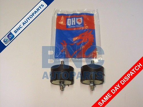 Front engine mounting pair - engine,