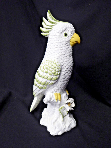 Vintage cockatoo parrot bird - vintage,