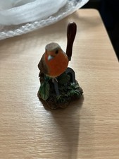 Border Fine Arts, Robin