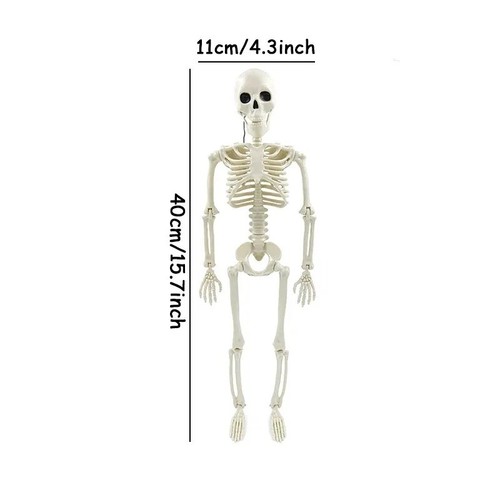 Giant life size human skeleton - life,