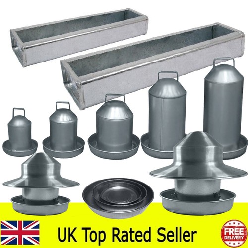 Galvanised metal chicken - galvanised,