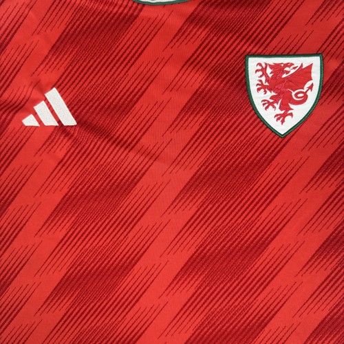 Wales football shirt - shirt, 2022