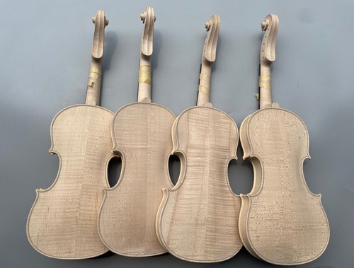 Violin flame maple back - ,