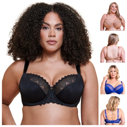 Curvy kate wild one - wild,