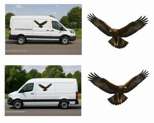 Golden eagle flying pair - eagle, flying,