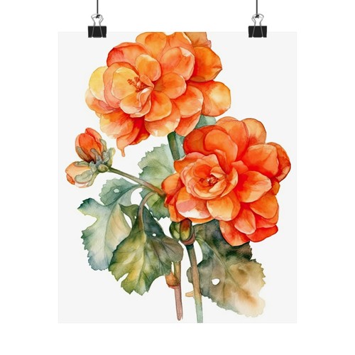 Begonia flower art - art, print