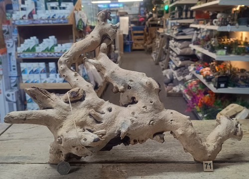 Large 54cm mopani wood - 27-54cm,