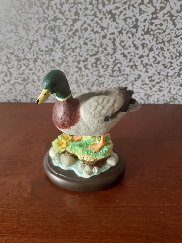 Border fine arts birds - border,