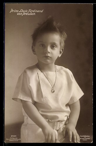 Prince louis ferdinand - prince,