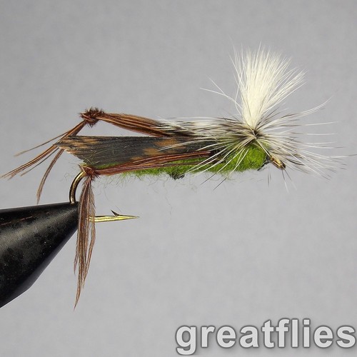Dozen para hopper - dozen, (12)