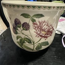 Spode Retired Victoria