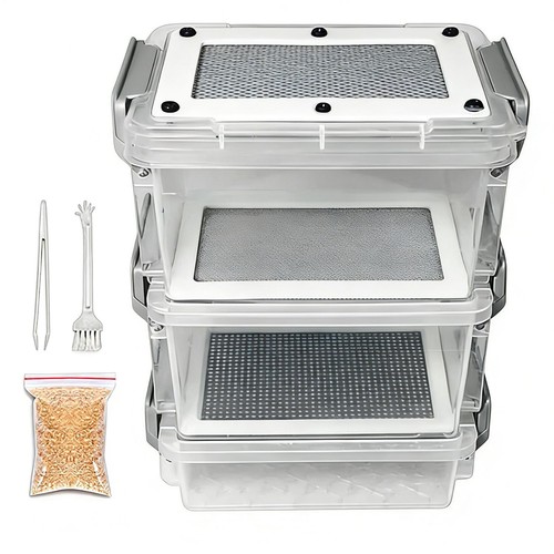 Mealworm breeding kit - mealworm, 3-layer