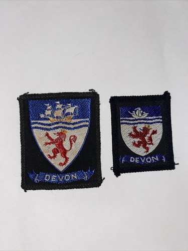 Vintage boy scout badge - badge, devon