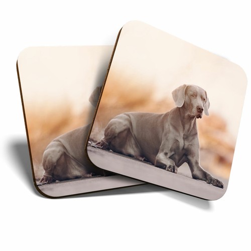 Coasters large - 2,