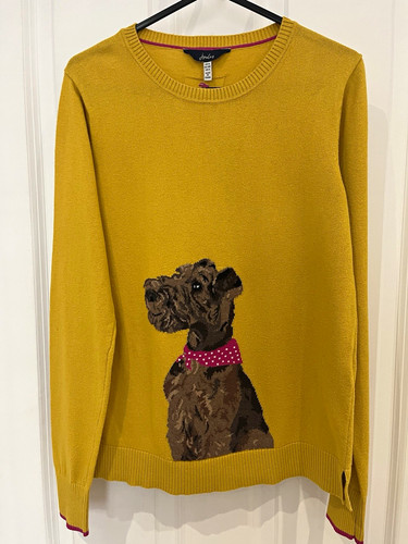 Joules yellow gold embroidered - joules,