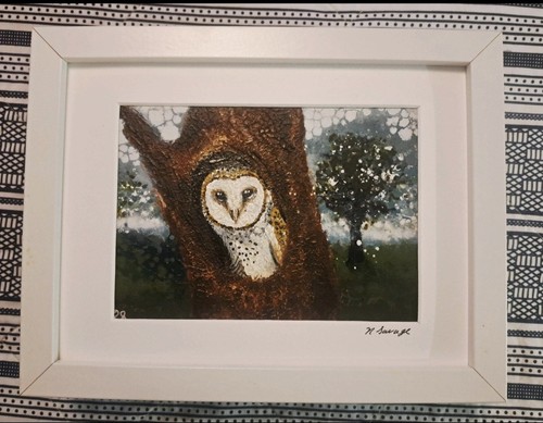 Barn owl peeping bird art - ,