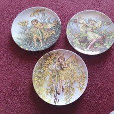 The World of Flower Fairies