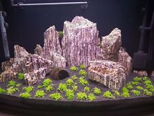 Aquarium Rock Natural Fish