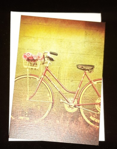 Ladies schwinn bicycle basket - bicycle,