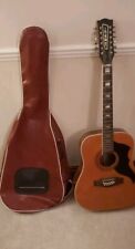 Eko Guitar Model XII with Case