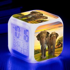 Animal Elephant 7-Color