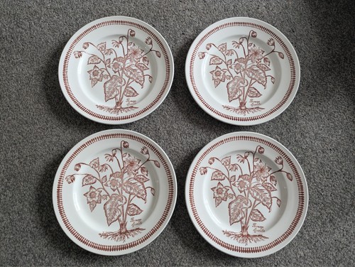 Broadhurst ironstone - x,